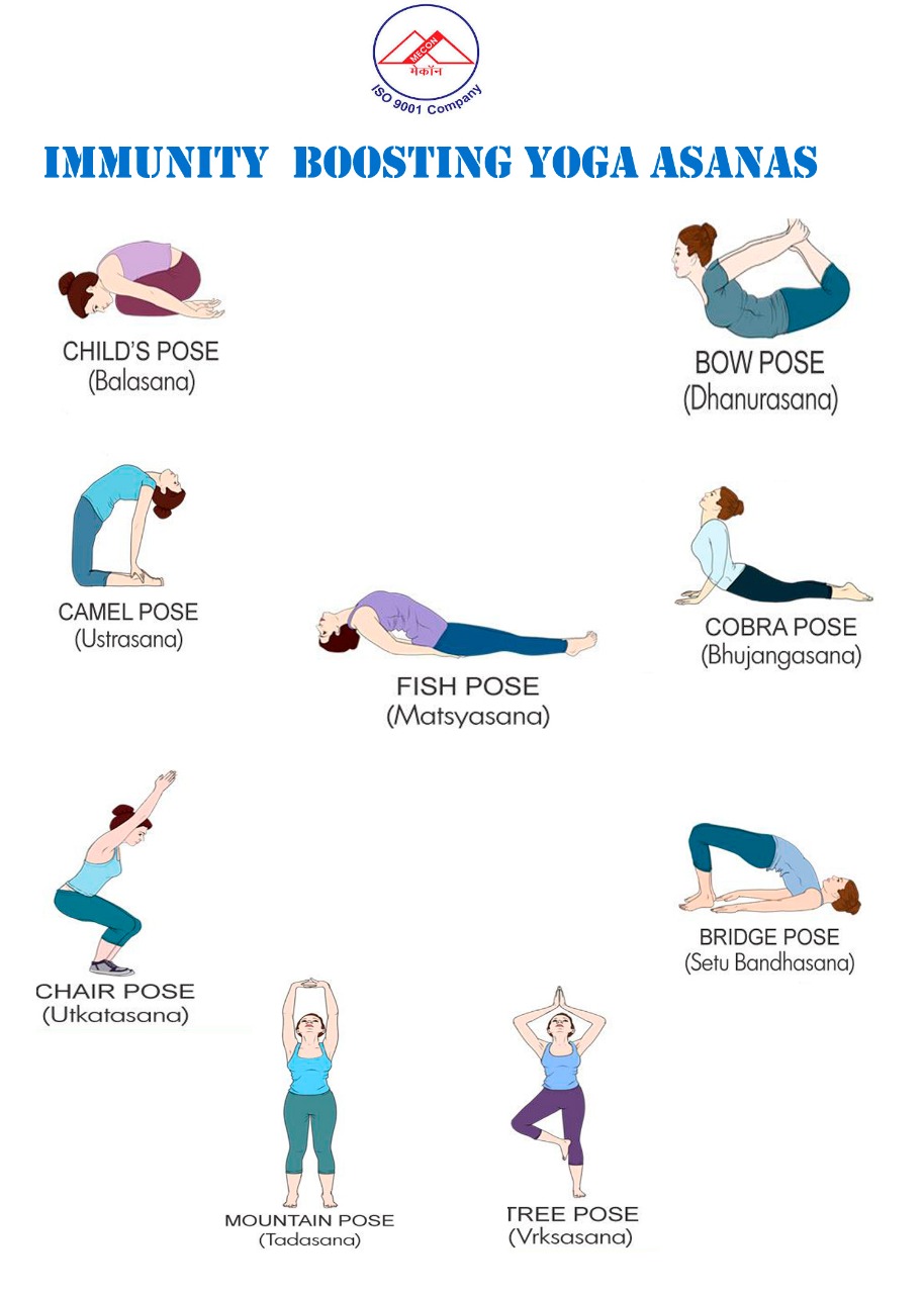 Yoga For Flexibility And Immunity: इम्युनिटी और फ्लेक्सिबिलिटी बढ़ाते हैं  ये योगासन, रोज़ाना जरूर करें इसका अभ्यास | News Track in Hindi