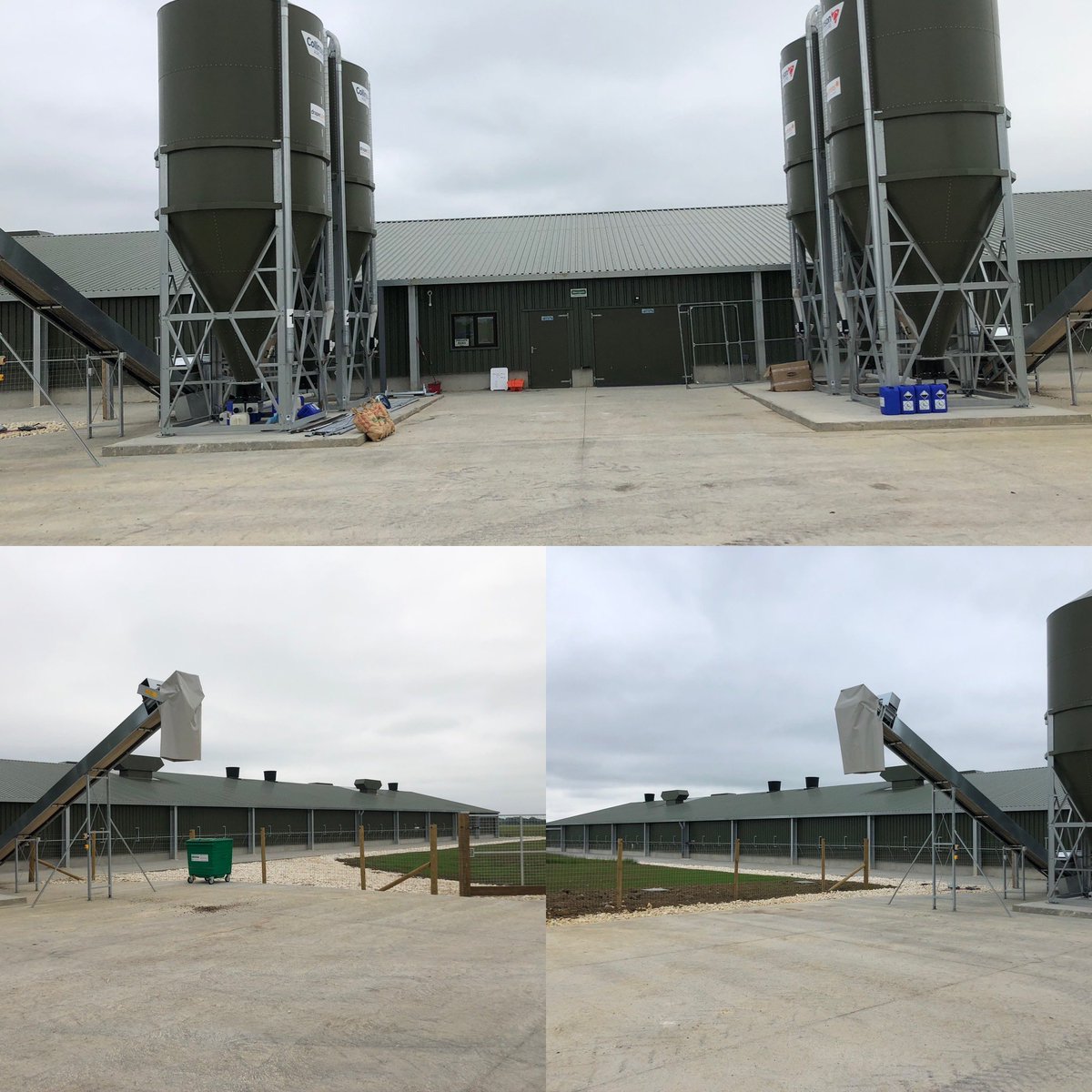 WOT A HEN tweet media