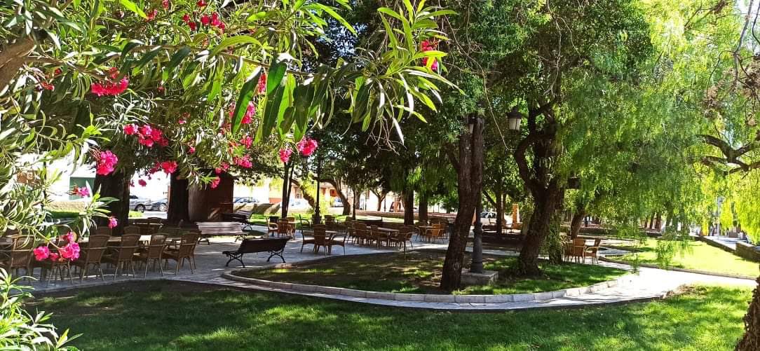Juanito_Bar's tweet photo. Para disfrutar 1 buena velada en un paraje único dla Subbética cordobesa visítanos en La Terraza de Juanito.Reservas 957520913.A partir de mañana también podrás disfrutar nuestros desayunos en este entorno tan especial.#CafeteríaJuanito #LaTerrazadeJuanito #LaSubbéticaCordobesa https://t.co/hiWsOUgx19