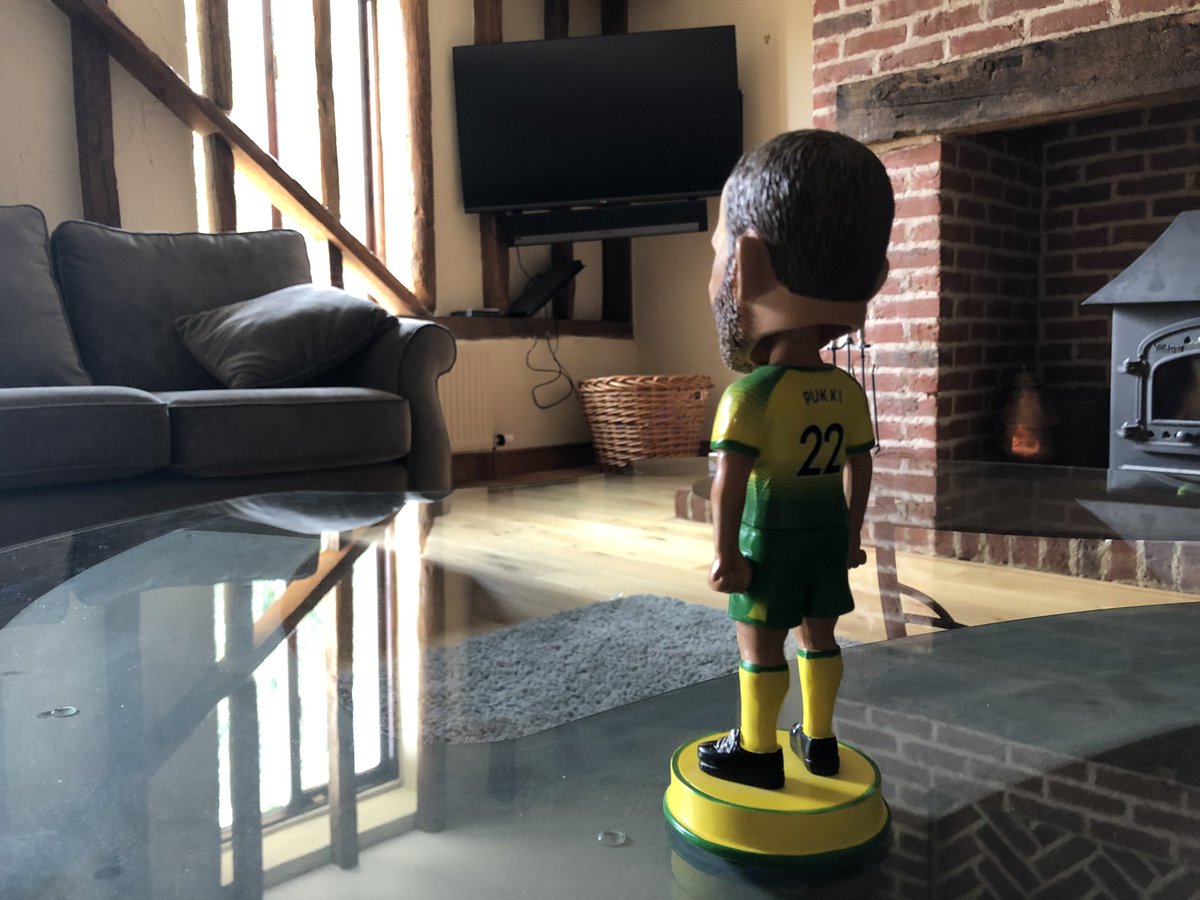 In sheer disbelief, Pukki still hasn’t moved an inch since watching the humiliation last night. #ncfc