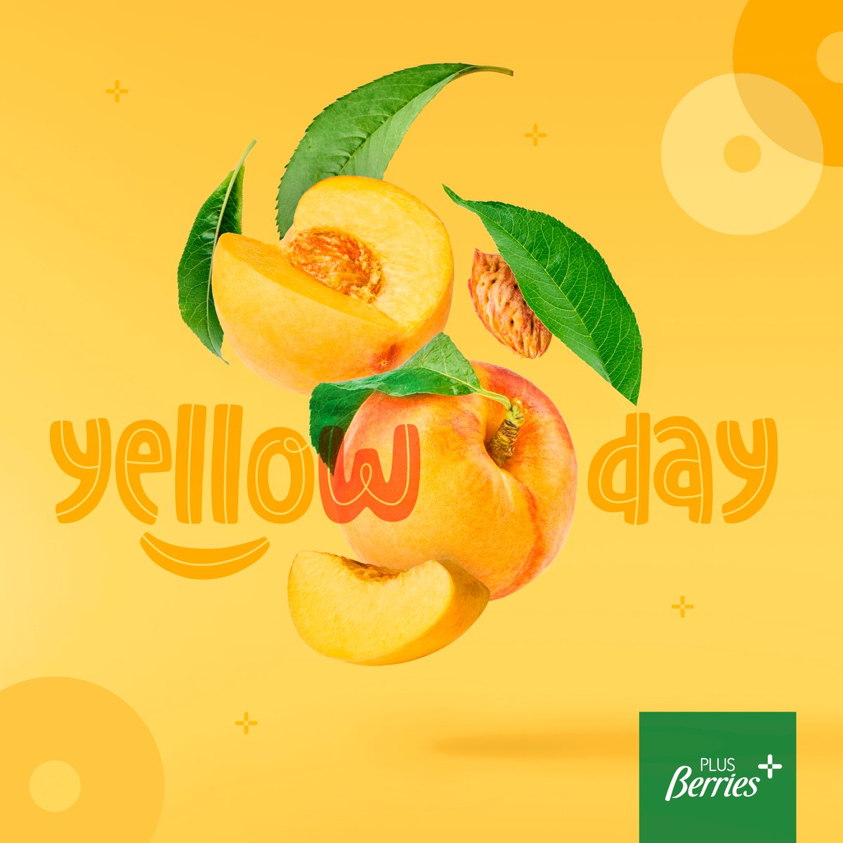 💛💛 Celebramos hoy el "YELLOW DAY"💛💛
Dicen que es el día más feliz del año, aunque todos sabemos que disfrutando de nuestra fruta de hueso todos los días serán felices. 😎

 #YellowDay #verano #sun #sol #stonefruit #frutadehueso #melotonones #peaches #yellowplums #yellow