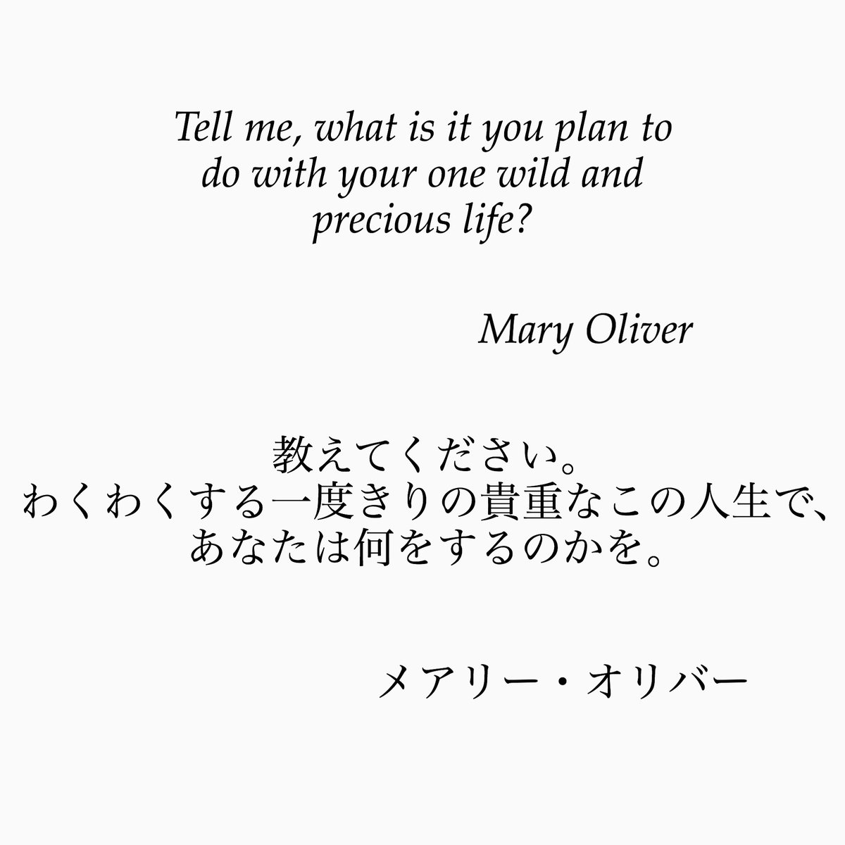 旧ゆったり名言書写 En Twitter No 45 本日の名言は 米国の詩人メアリー オリバーの言葉です この言葉は ハーバード大学の卒業式でも引用されました ゆったり名言書写