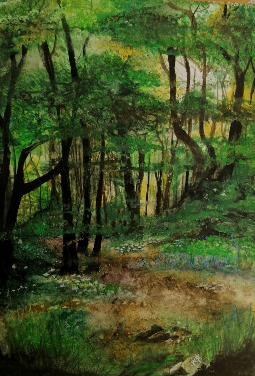 17 of 100 photos of trees to celebrate 100 years of Soroptimists supporting women and girls worldwide. This beautiful painting is by my friend YvyB  ⁦@SIGBI1⁩ ⁦@NewcastleSorop1⁩ #trees #Nationaltrust