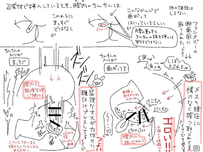 マンガ　オマンコ断面 