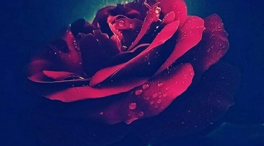 SELÂM ALEYKÜM VE RAHMETULLAHİ VE BERAKÂTÜHÜ VE MAĞFİRETİ CÜMLETEN