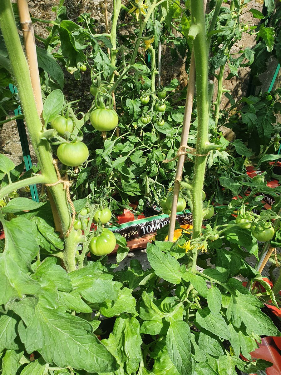 Leigh Sparks tweet media