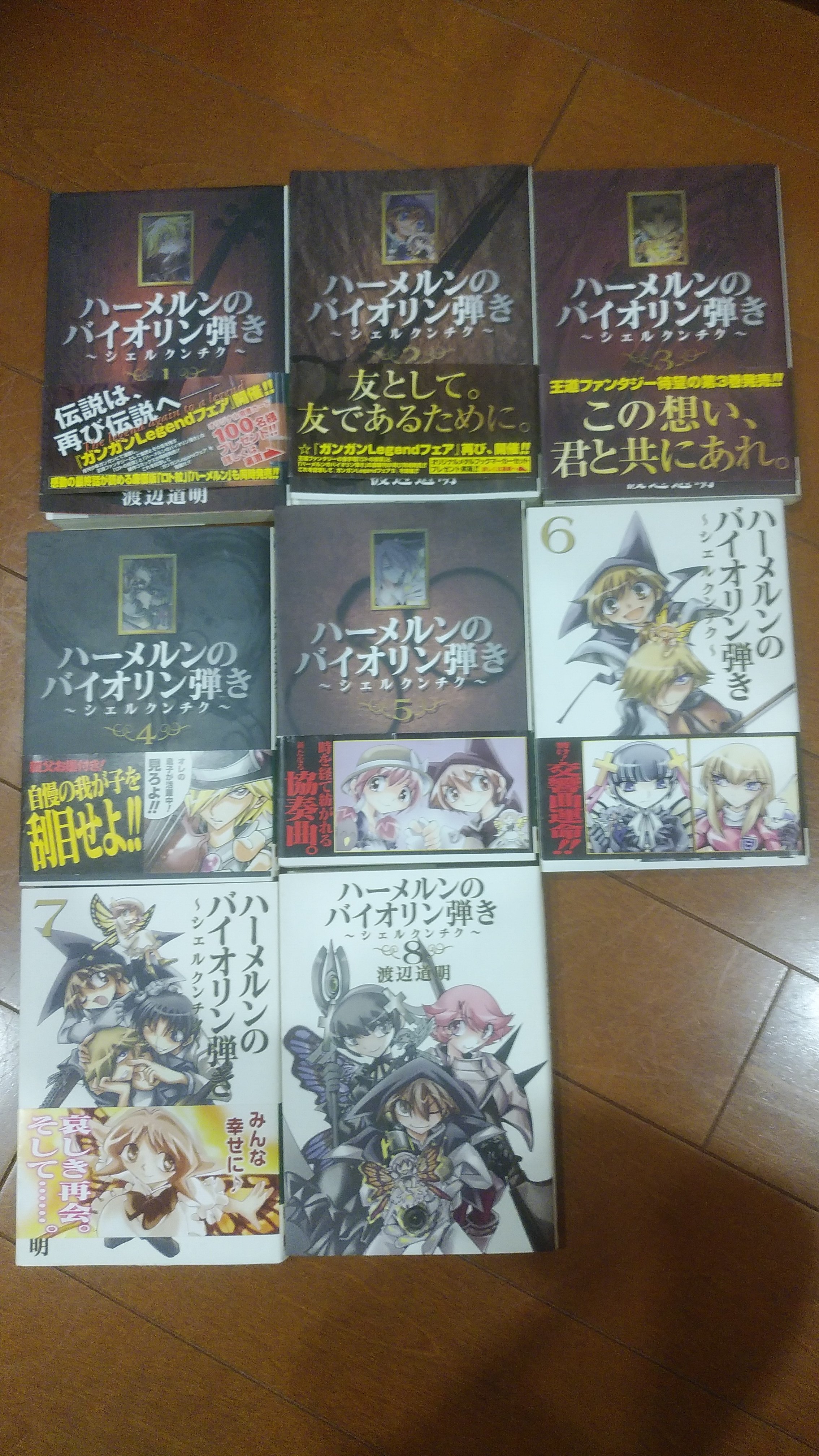 真咲ともか 私 2巻までしか読んでなくてね キチンと全て読もうと姉から借りたんですよ 姉が貸すのを渋っていた理由が分かりました 8巻カバー裏作者の台詞に涙 何よもう これからって時にー T T T T T T ハーメルンの バイオリン弾き