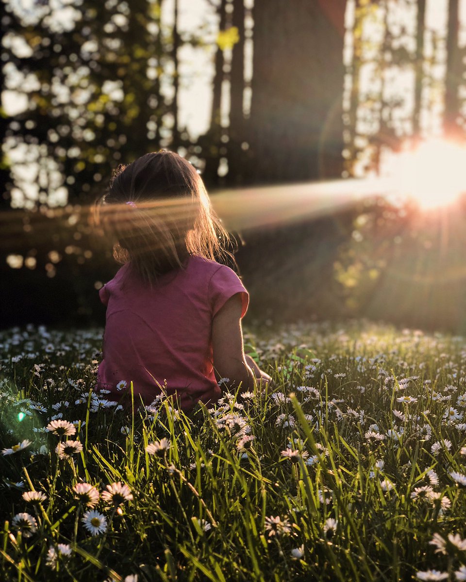 Bubbly_Tree's tweet photo. ‘A child, more than anyone else, is a spontaneous observer of nature.’ Maria Montessori

#bubblytree #breathe #meditate #trees #calmingtrees #rechauffementclimatique #globalwarming #cambioclimatico #meditation #nature #savetheearth #montessori #letsteachourkids #childreninnature https://t.co/WSefPjkH17