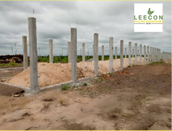 LEECON Poultry Company tweet media