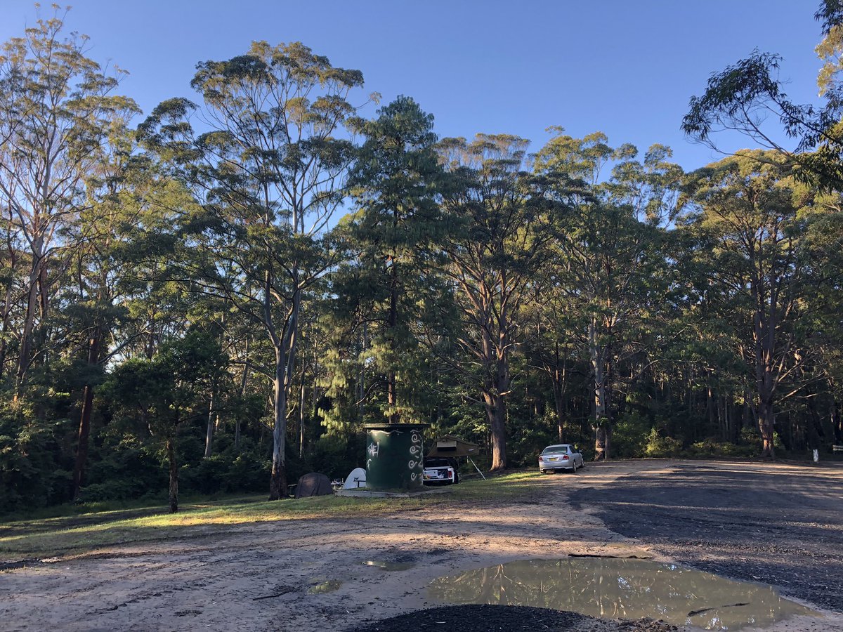 Newy Traveller tweet media