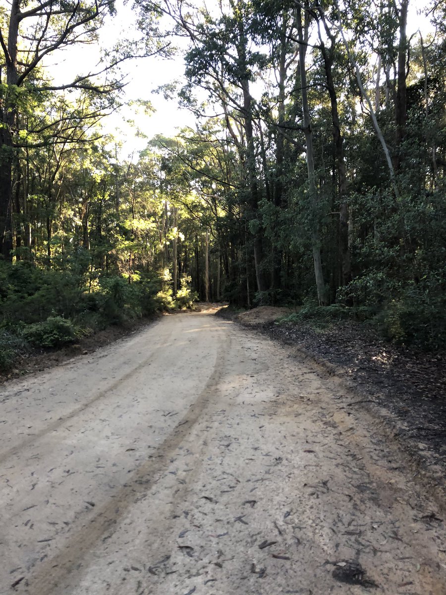 Newy Traveller tweet media