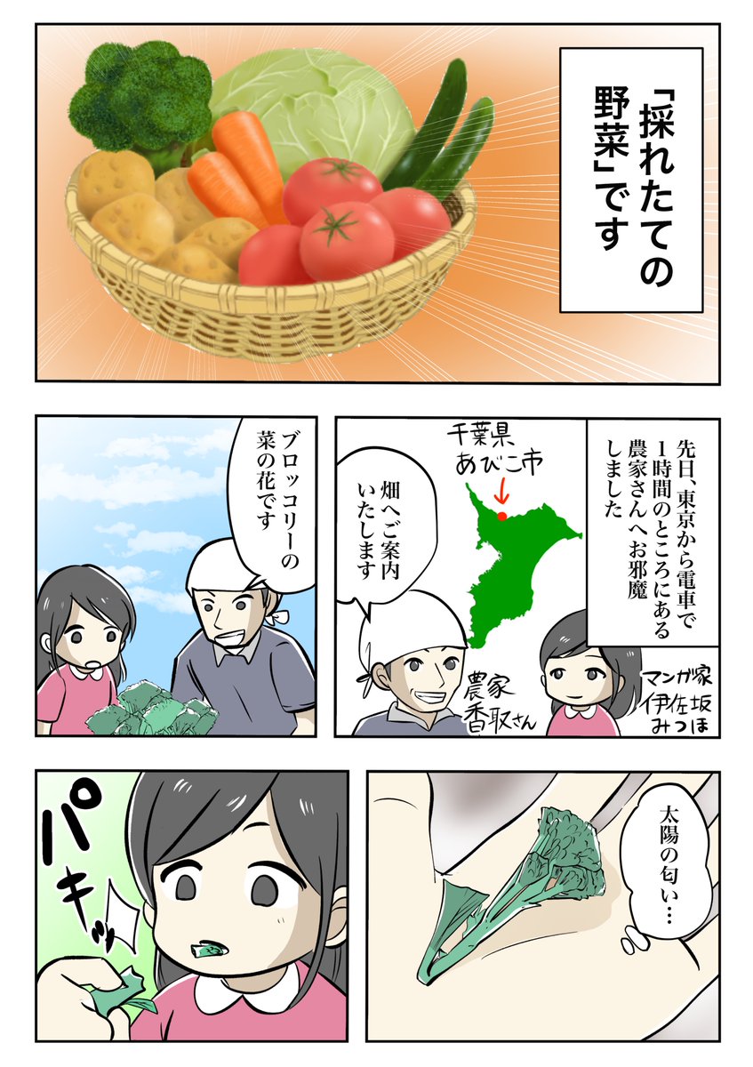 【あなたは、おいしい野菜を食べたことはありますか?】
有機野菜ってこんな美味しいんだとはじめて知りました。
みんなにも伝えたいと思ったので、ぜひ見てください!
食べたい人、ネット注文できるので、リプ欄からぜひ頼んでみてね〜!
#体験レポ漫画 #pr