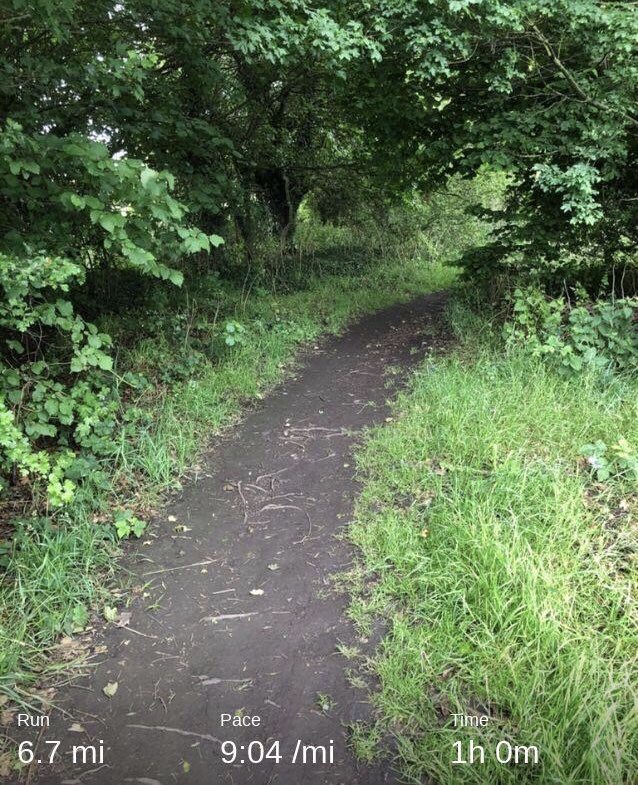 JoeFL2L's tweet photo. Tough tough tough 10k that was! At least I got to go off road a little #LYPFTRunners #10kSaturdays #StrengthInMind https://t.co/A9CZUlZSp8