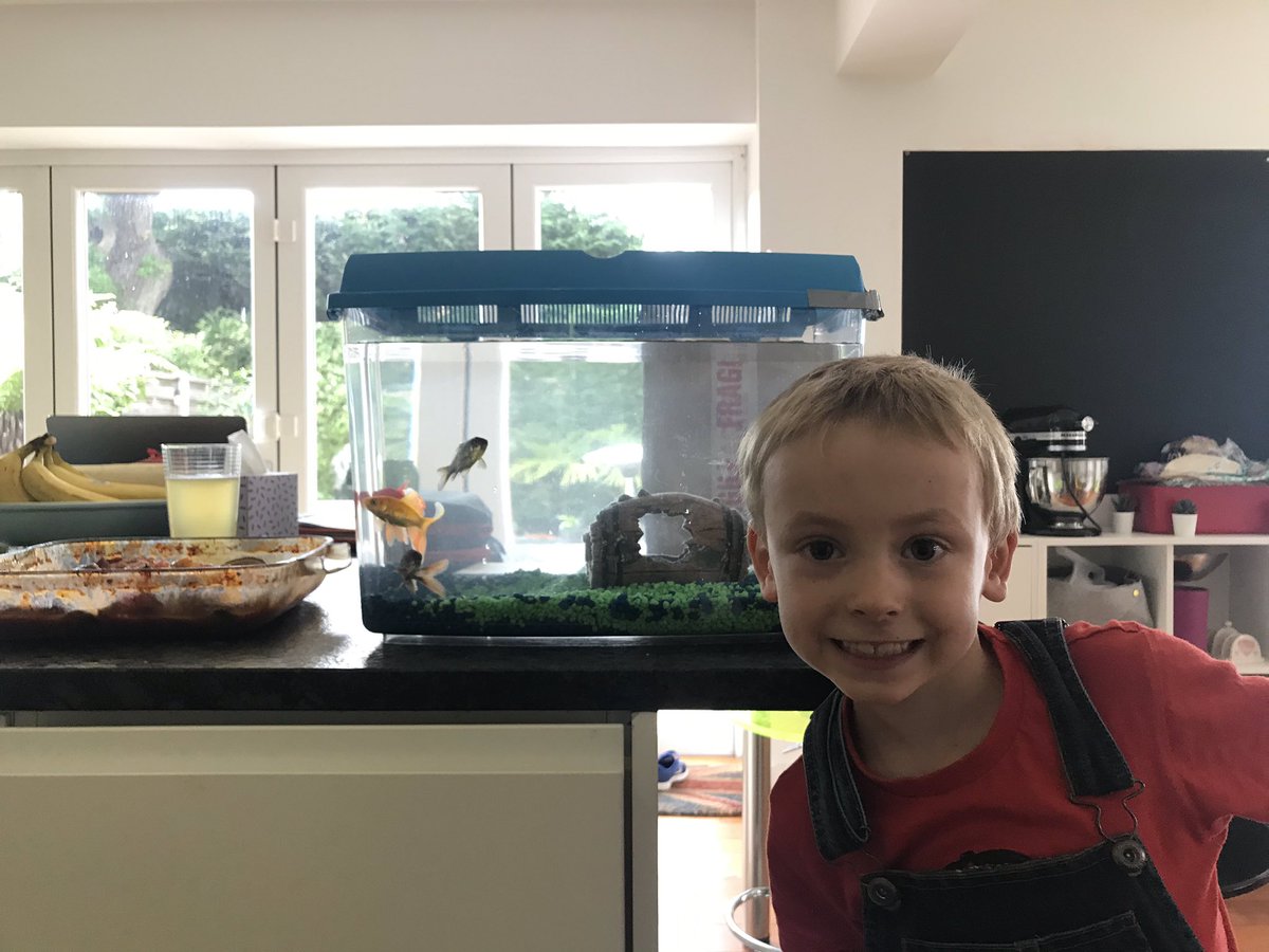 cherylthrush's tweet photo. @fouroaksprimary Mrs Upton Sid has a new home and two new friends ! The two new friends are silver fish one is mine and one is Laurie’s ! They are great great friends and we hope you like this picture https://t.co/wU290iT49V