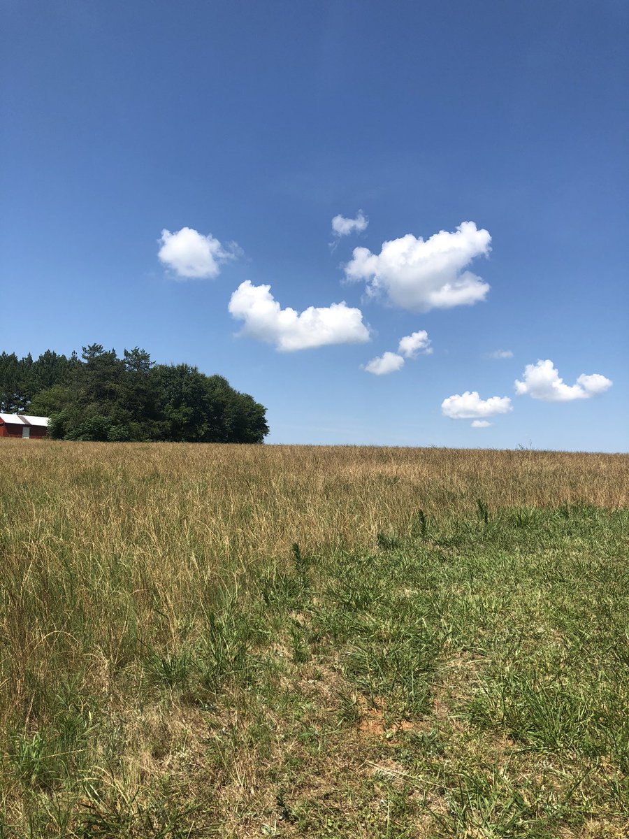 ChambersExpo's tweet photo. #ALWX @spann @TaylorSarallo  @simpsonwhnt #fathersdayweekend 🇺🇸 https://t.co/VuhkBg6xeK