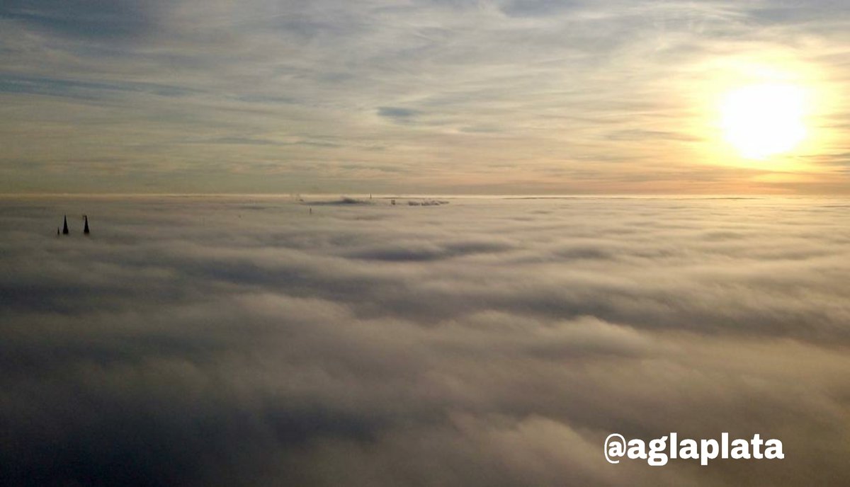 aglaplata tweet media