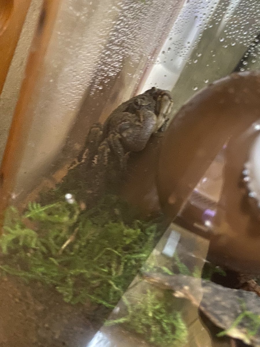 昨日ベロベロに酔った状態で同期に「明日かに取りにに行くぞ！！！」って言って本当に行ってきた最高