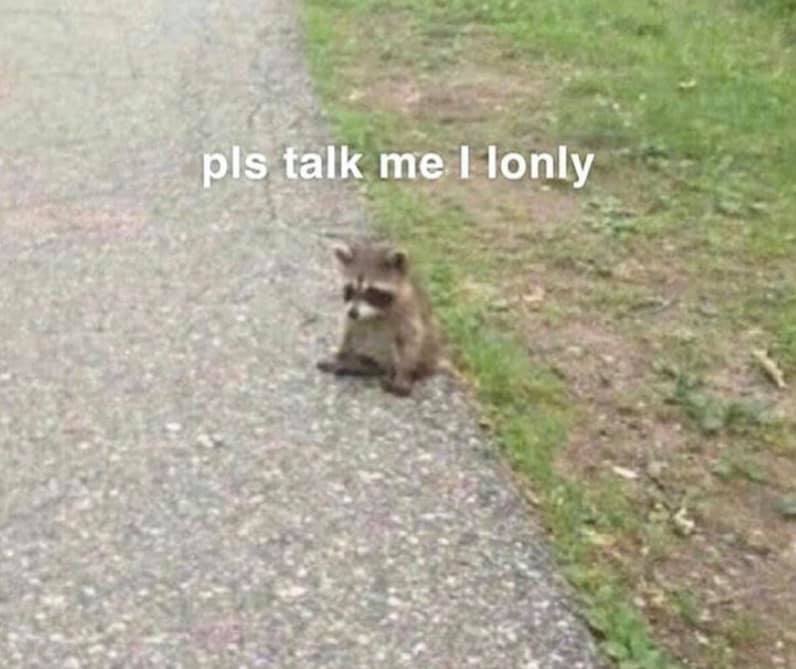 𝑨𝒓𝒊𝒆𝒍 (@heavenlylioncss) on Twitter photo 