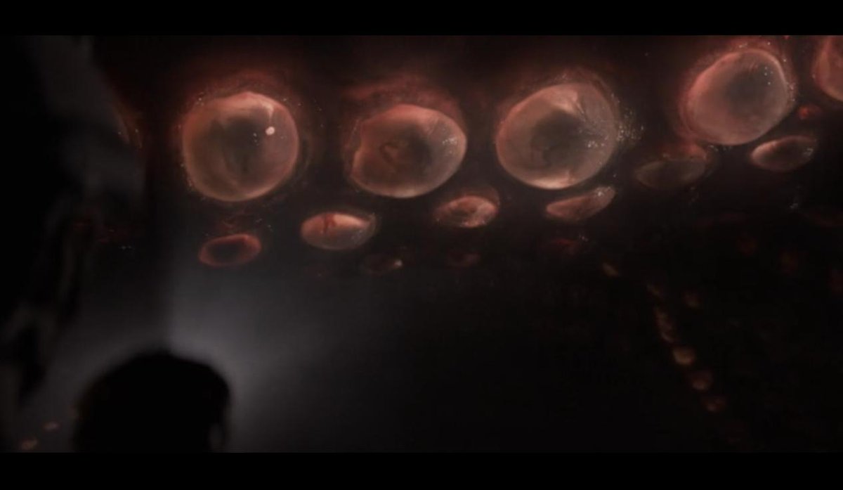 『#GODZILLA ゴジラ』見るたび思うけど、MUTO(ムートー)は一体いつ受精したんだ。オスメスの設定がある割に交尾した様子がなかったから、鮭がイクラに精子ぶっかけるみたく体外受精かと思いきや、そんな描写もなく、産卵直後にここまで細胞分裂進んでるし…超古代の生物は良くわからん。