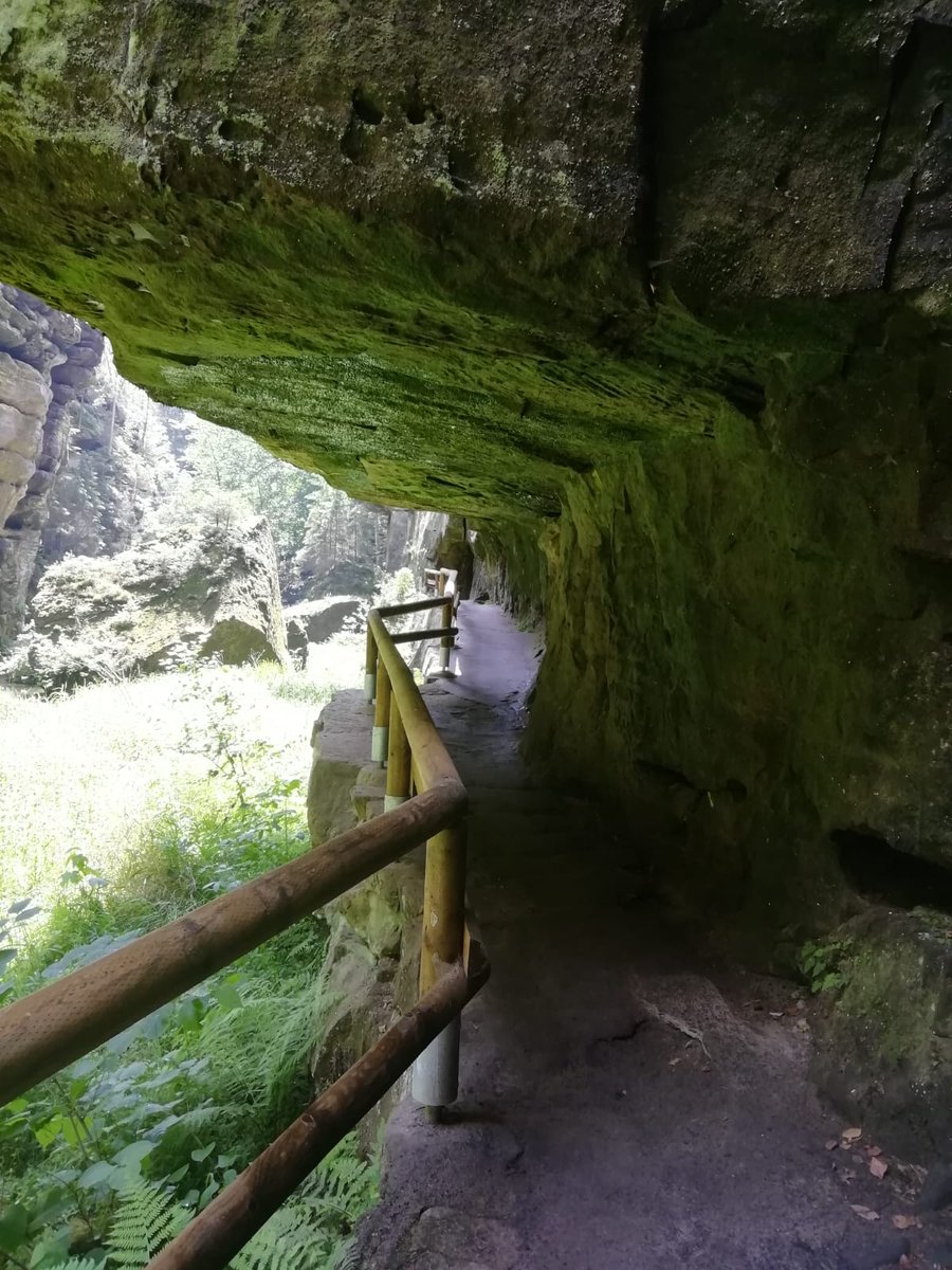 LabMerlos's tweet photo. ▶️The #CzechRepublic 🇨🇿 has unpublished places🏞️, taken from fantasy tales 🧝⛰️and science fiction movies 🧙🏼‍♀️🏰

#narnia #hrensko #northbohemia 

▶️ The nature🌲🍃📍 of this place is incredible 🌈🍀🌳 

#bohemia #labmeeting 👨🏻‍🔬👩🏽‍🔬👨‍🔬👩🏿‍🔬 #CAMerlosLab 👨🏻‍🔬

@VisitCZ  @CzechRepublicES https://t.co/CRtc3O3sJu