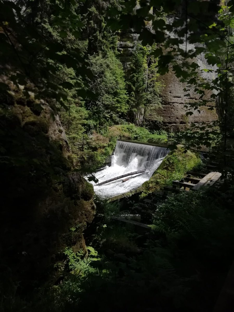 LabMerlos's tweet photo. ▶️The #CzechRepublic 🇨🇿 has unpublished places🏞️, taken from fantasy tales 🧝⛰️and science fiction movies 🧙🏼‍♀️🏰

#narnia #hrensko #northbohemia 

▶️ The nature🌲🍃📍 of this place is incredible 🌈🍀🌳 

#bohemia #labmeeting 👨🏻‍🔬👩🏽‍🔬👨‍🔬👩🏿‍🔬 #CAMerlosLab 👨🏻‍🔬

@VisitCZ  @CzechRepublicES https://t.co/CRtc3O3sJu
