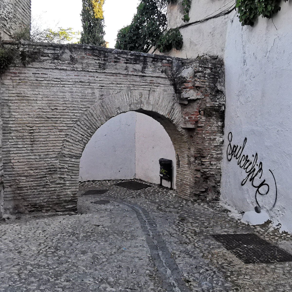 Mayte Martínez Caro tweet media