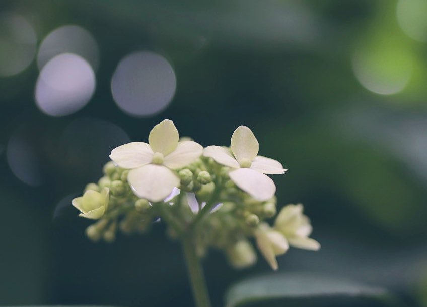 NORIPy1120's tweet photo. 😴*ɢᵒᵒᵈ ɴⁱᵍʰᵗ *☪︎｡✨☆.｡.:*・

#photography https://t.co/8EdBn6aH4J