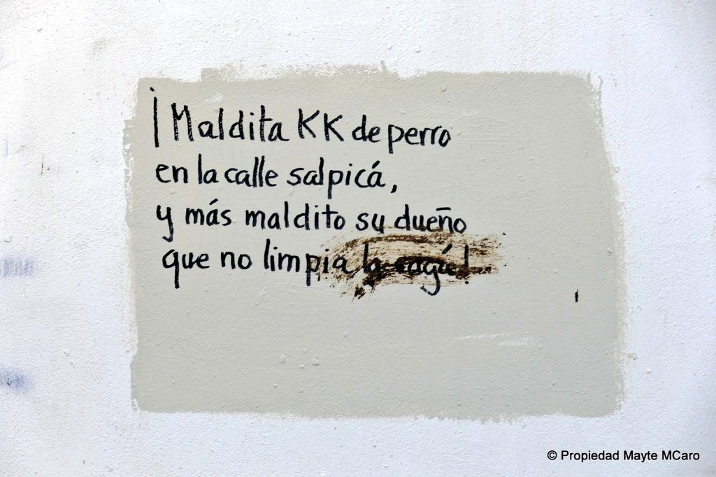 Mayte Martínez Caro tweet media