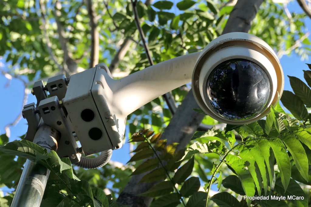 Mayte Martínez Caro tweet media