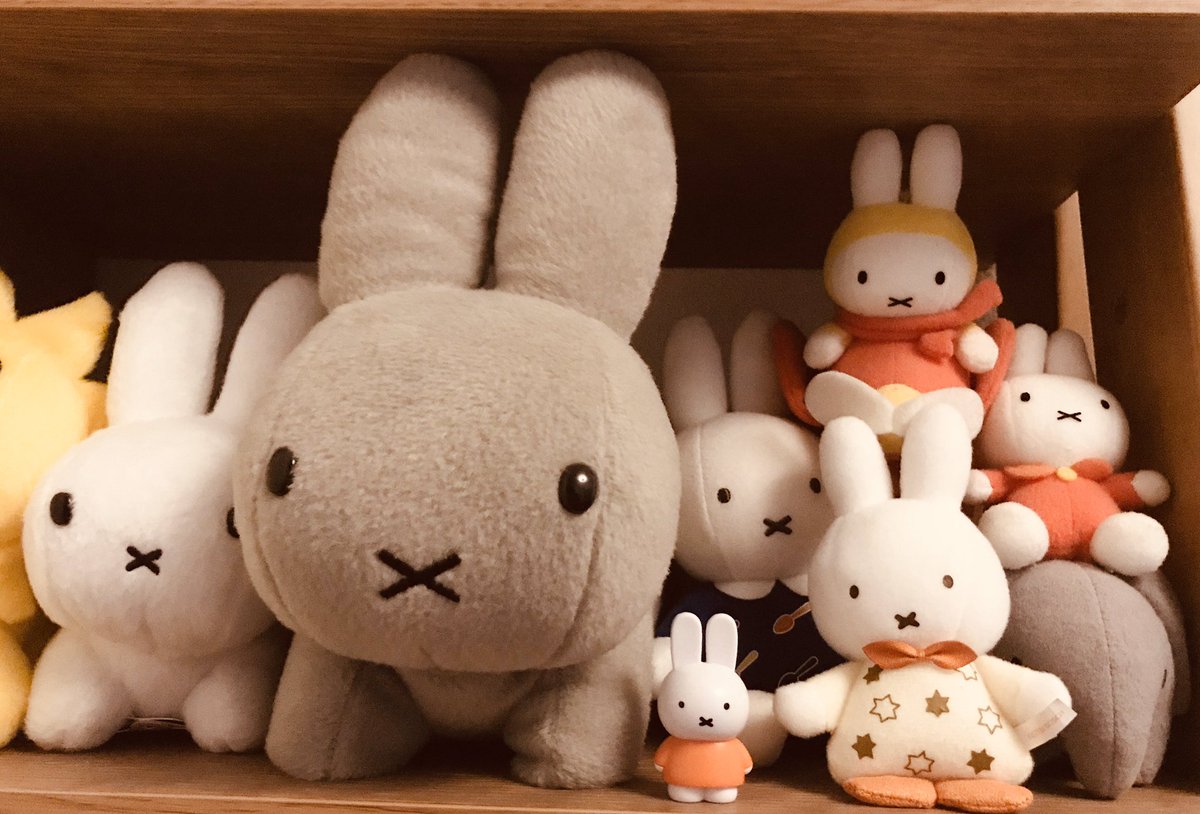 Yk ミッフィーかわいいうさちゃん ミッフィーおりこううさちゃん ミッフィーげんきなうさちゃん ミッフィー だいすき ミッフィー誕生日