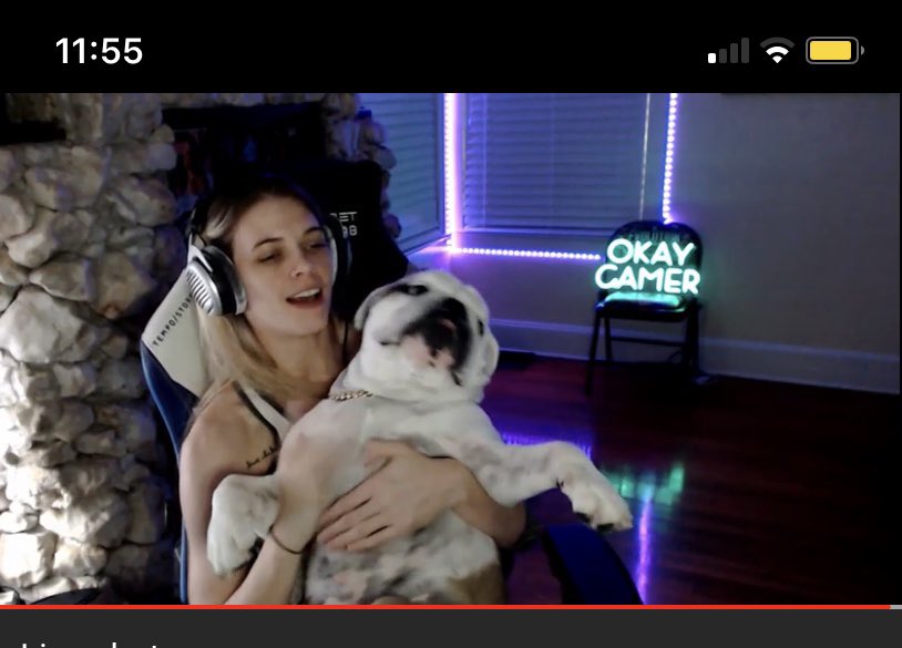 whtvr_Dixie_'s tweet photo. I lost the count how many screenshots I took cuteness in you’re timeline melted block cheese and Isis puppy blessing you’re timeline @MiaYim @jessamynduke  🥰🧀 #OkeyGamer https://t.co/SynxToff1t