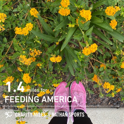 AVASradiance's tweet photo. 1.4 @CharityMiles for @FeedingAmerica. #socialdistancerunclub #bosschickrunningcrew #runalexeyeva #avasradiancefitness https://t.co/VcyCtdkpeL