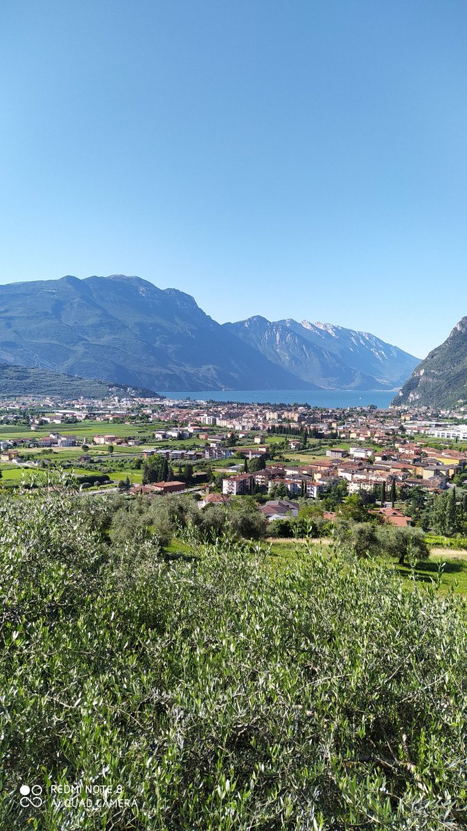 Oggi giretto in bici per i laghi trentini, partendo da Arco, Tenno, Toblino, Cavedine, fantastico..certo che voi trentini siete molto fortunati, aprite la finestra e vi godete lo spettacolo della natura, giusto <a href="/MichGPS/">Mich74</a> ?