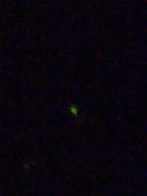 ホタルのtwitterイラスト検索結果