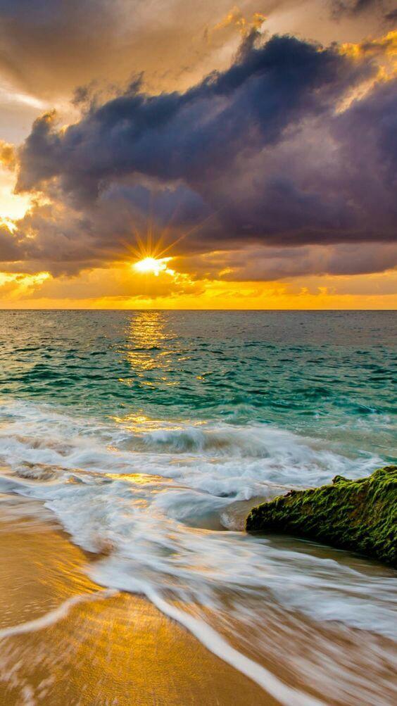 ���� ���� ������ �� ���� ������