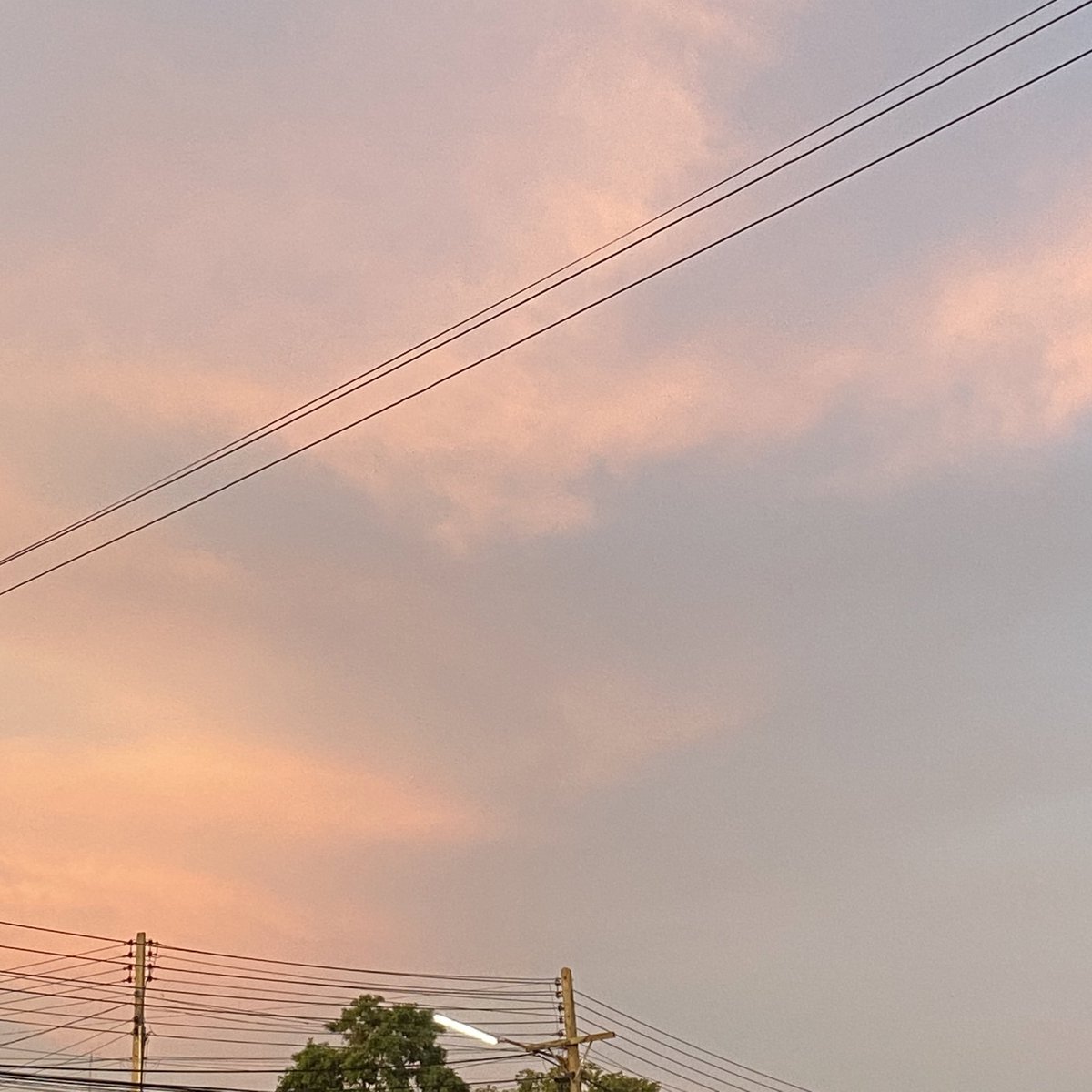 019aqs's tweet photo. +18.52 https://t.co/Zn9yDHugZj