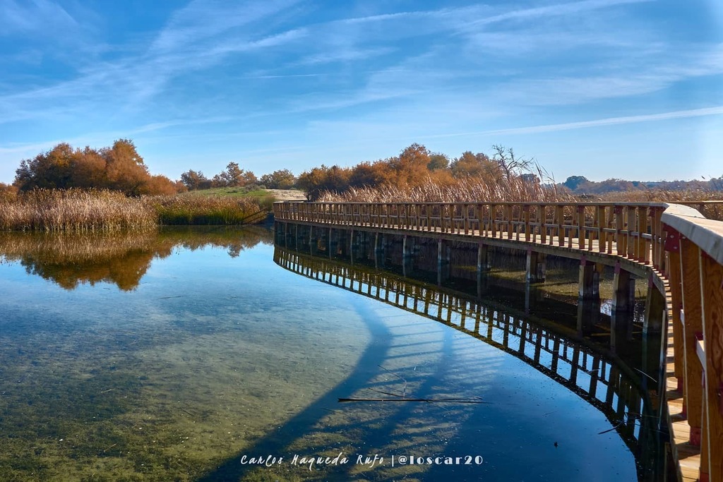 loscar20's tweet photo. Parque Nacional de Las Tablas de Daimiel.
.
.
.
.
#spain #parque #daimiel #nature #spaintravel #ciudadreal #naturephotography #españa #travel #tablasdedaimiel #naturelovers #visitspain #parquenacional #negrosdaimiel #nature_lovers #parquenatural #castill… https://t.co/bmBloKHHs5 https://t.co/i84FRFrjqe