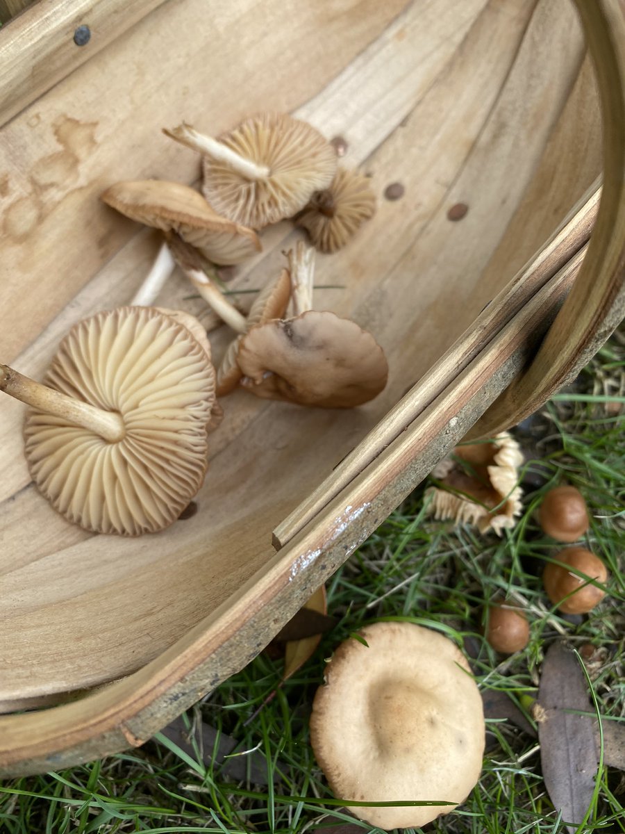 Penny Zako tweet media