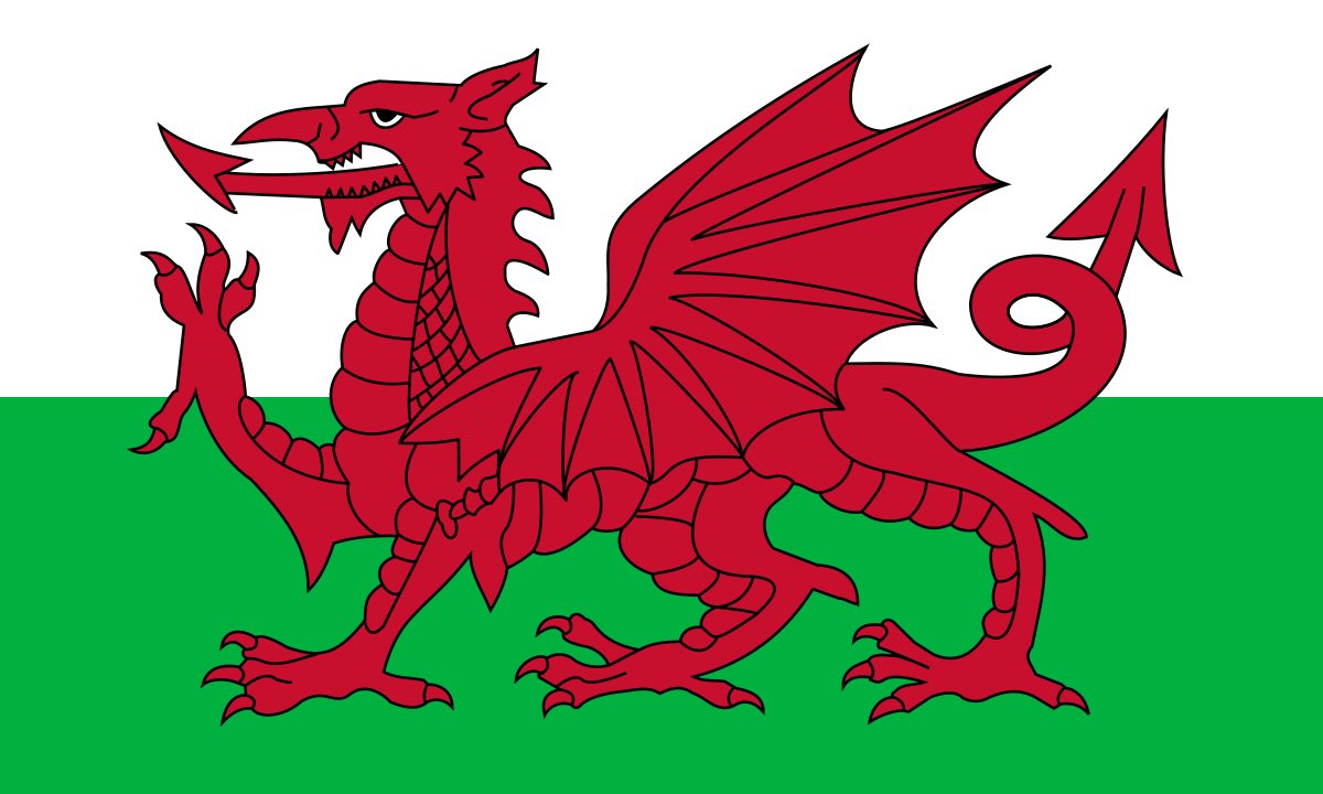 The flag became the official symbol of Wales in 1959, although the design was never standardised, leading to a range of startlingly different (and occasionally unfortunate!) compositions.