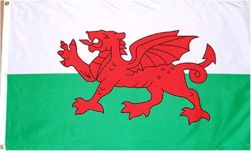 The flag became the official symbol of Wales in 1959, although the design was never standardised, leading to a range of startlingly different (and occasionally unfortunate!) compositions.