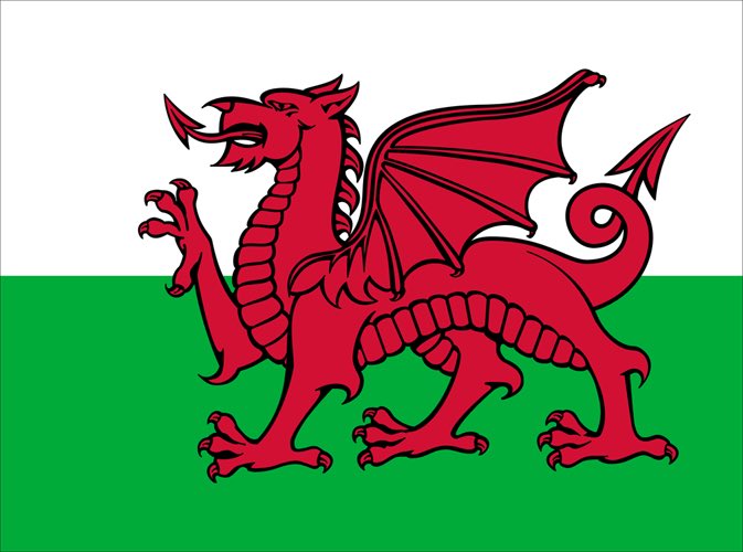 The flag became the official symbol of Wales in 1959, although the design was never standardised, leading to a range of startlingly different (and occasionally unfortunate!) compositions.
