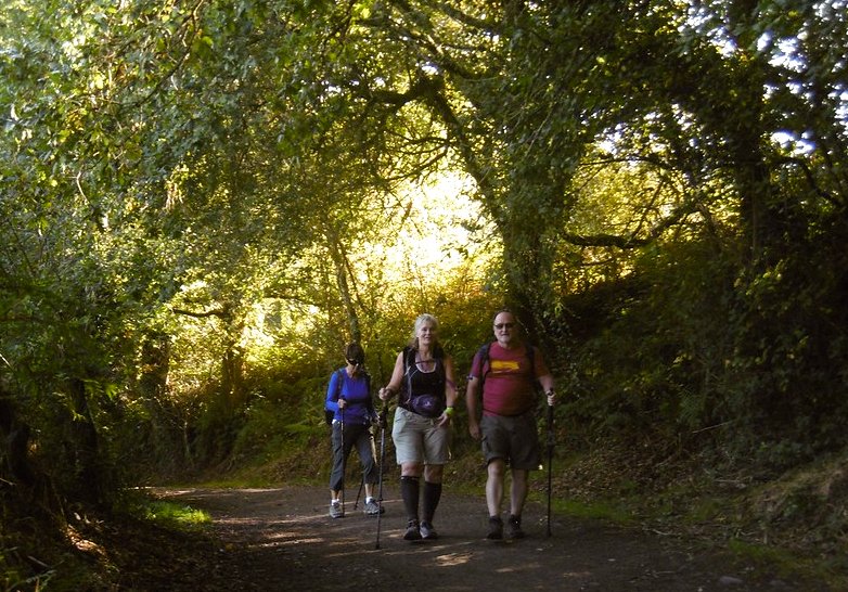 Quedan escasas horas para poder volver a disfrutar del Camino con total libertad, y con responsabilidad.
Esta medianoche, todos los Caminos a Santiago se abren en su totalidad.
#caminoANDenglish #Turgalicia #volveGalicia #Verano2020 #QuedamosenGalicia #galiciamola <a href="/EFEtur_es/">EFEtur</a>