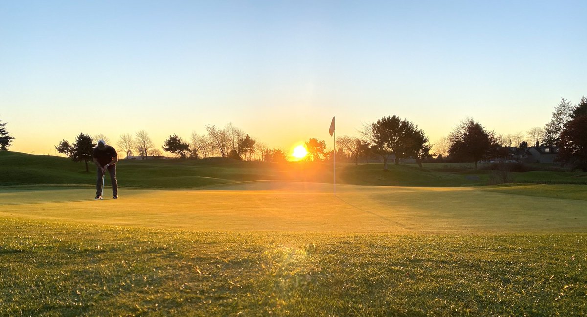 Royce Brook tweet media