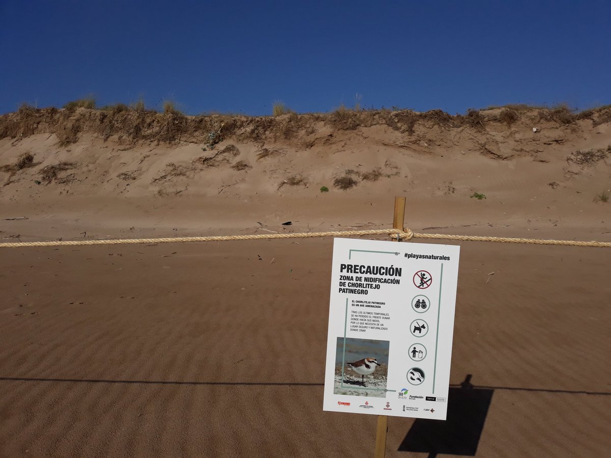 MRElectrique's tweet image. 🌊🐦 #Mareny