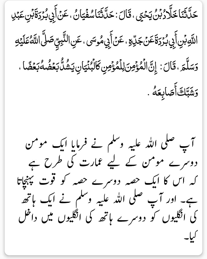 sfahadmjaved's tweet image. 