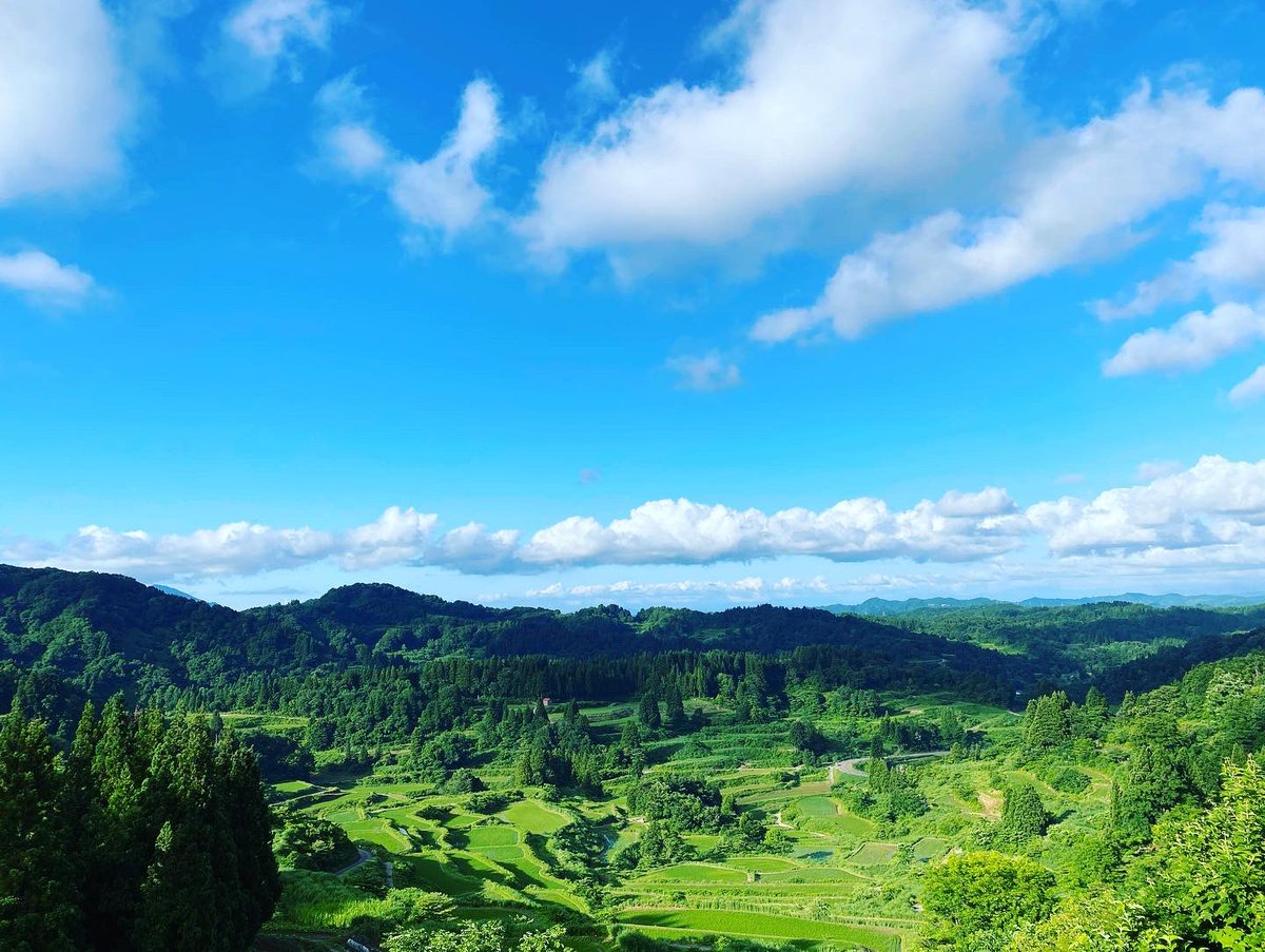 フリースクールヒュッゲ 緑の日でした 自然の癒しのパワーを感じることができました 戸隠神社 星峠の棚田 上越市