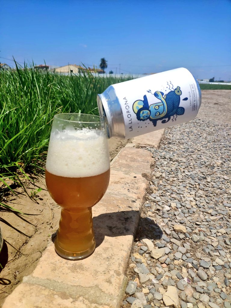 Llorona en L'Horta

Que viva la Terreta!