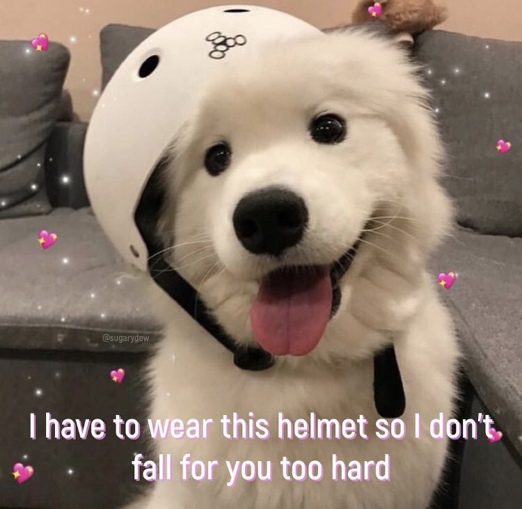 RespectfulMemes's tweet photo. https://t.co/U7VHuKujef