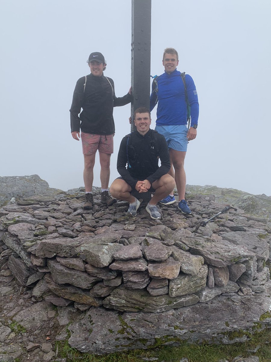 Mark O Connell tweet media