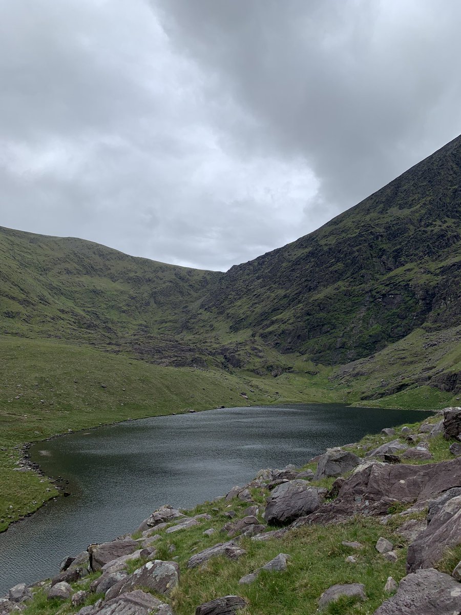 Mark O Connell tweet media